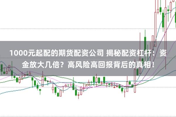 1000元起配的期货配资公司 揭秘配资杠杆：资金放大几倍？高风险高回报背后的真相！