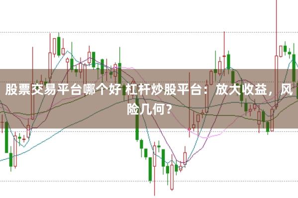 股票交易平台哪个好 杠杆炒股平台：放大收益，风险几何？