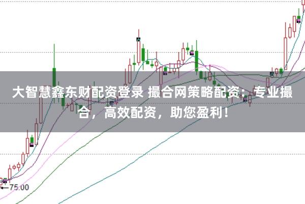 大智慧鑫东财配资登录 撮合网策略配资：专业撮合，高效配资，助您盈利！