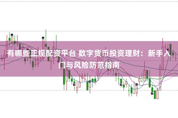 有哪些正规配资平台 数字货币投资理财：新手入门与风险防范指南