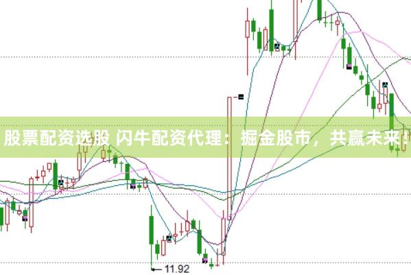 股票配资选股 闪牛配资代理：掘金股市，共赢未来！