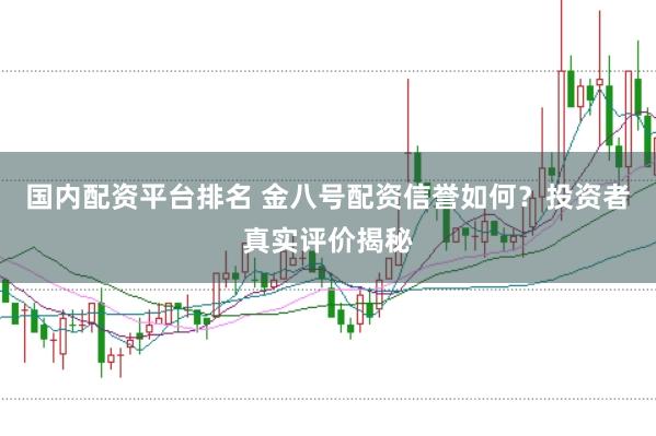国内配资平台排名 金八号配资信誉如何？投资者真实评价揭秘