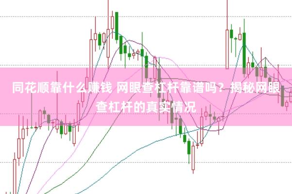 同花顺靠什么赚钱 网眼查杠杆靠谱吗？揭秘网眼查杠杆的真实情况