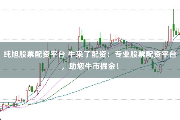 纯旭股票配资平台 牛来了配资：专业股票配资平台，助您牛市掘金！