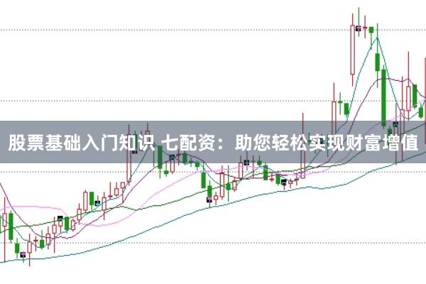 股票基础入门知识 七配资：助您轻松实现财富增值