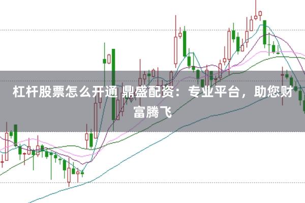 杠杆股票怎么开通 鼎盛配资：专业平台，助您财富腾飞
